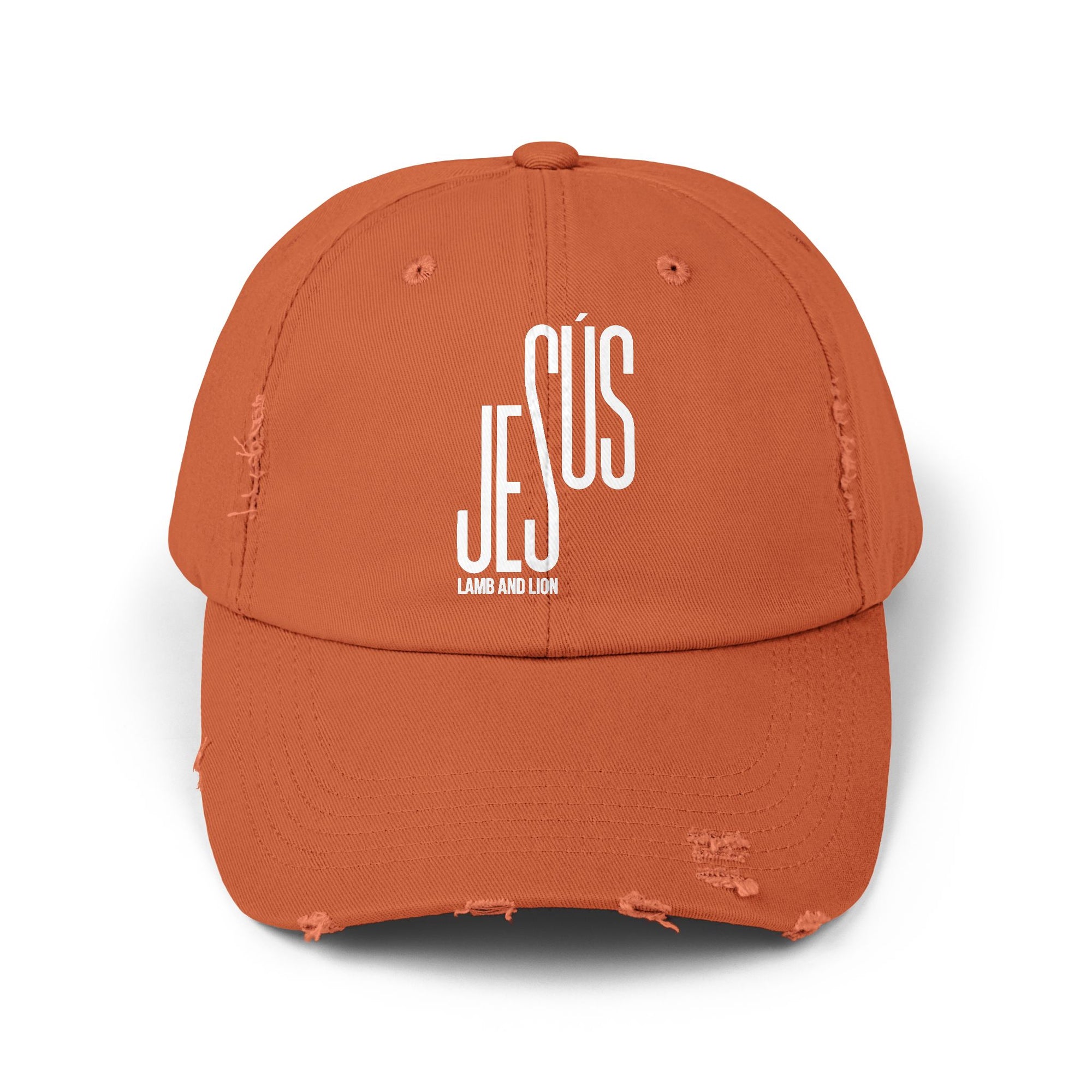 Cap “Jesus: Lamb and Lion” – English - Faith Merch Store