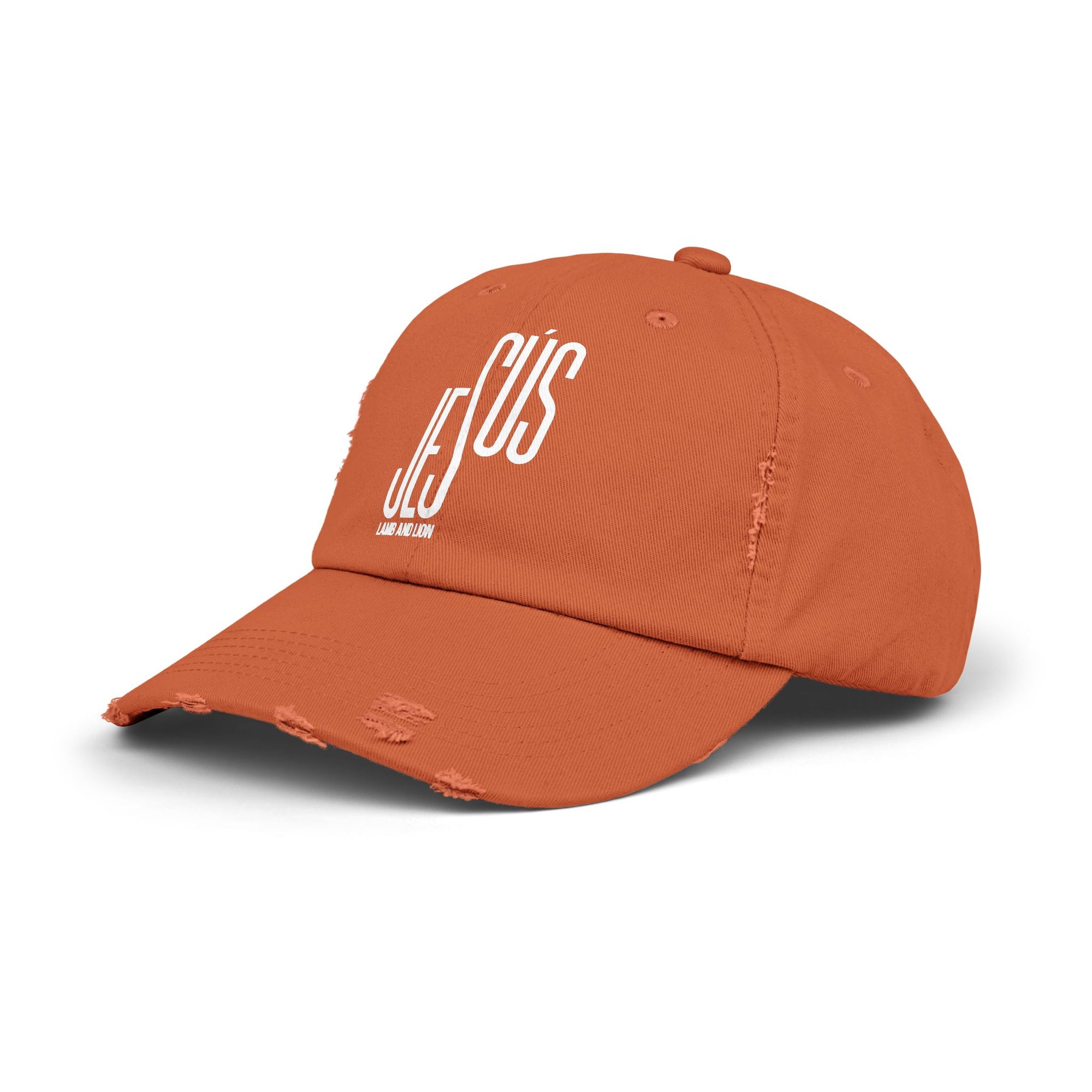 Cap “Jesus: Lamb and Lion” – English - Faith Merch Store